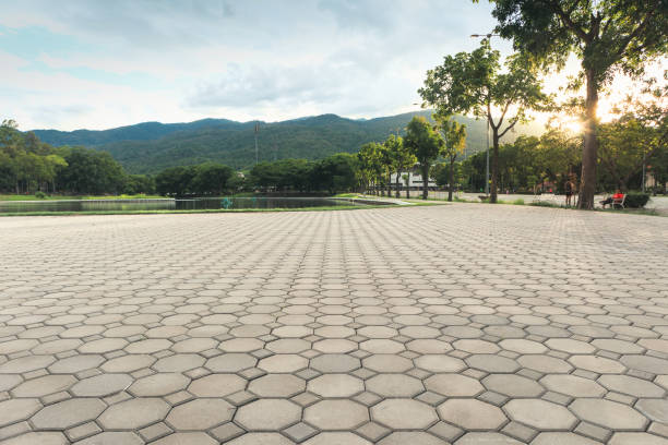 Best Professional Driveway Pavers  in West Brownsville, PA